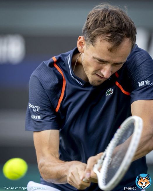 Медведев проиграл Маннарино во втором круге турнира ATP в Хертогенбосхе   Российский теннисист Даниил Медведев проиграл французу Адриано Маннарино во втором круге турнира ATP в Хертогенбосхе &mdash; 6:4, 4:6, 2:6.   Sander Koning / ANP / AFP