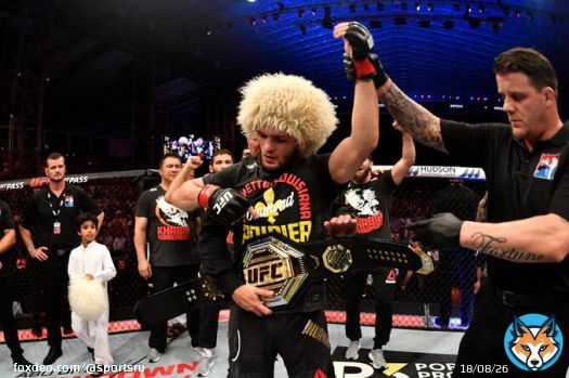 Самые длинные победные серии в UFC:  16 &ndash; Андерсон Силва 13 &ndash; Макс Холлоуэй 13 &ndash; Деметриус Джонсон 13 &ndash; Джон Джонс 13 &ndash; Жорж Сен-Пьер 12 &ndash; Хабиб Нурмагомедов  12 &ndash; Тони Фергюсон