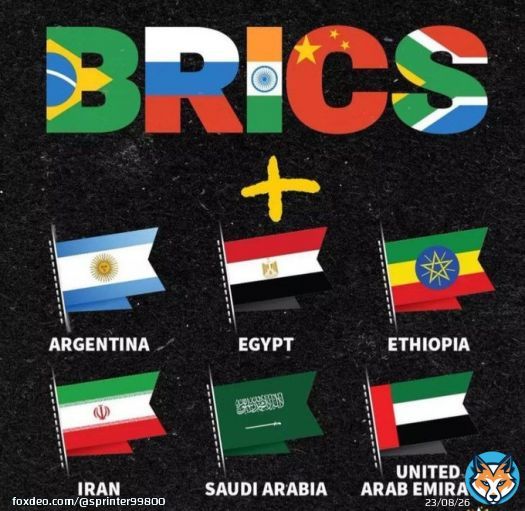 The new BRICS members will be Saudi Arabia, Argentina, the United Arab Emirates, Iran and Egypt.