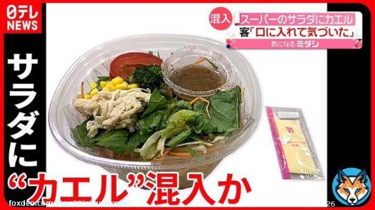 『サラダにカエル混入』イトーヨーカドーで事件！「想定外のトッピング！」  #サラダ #カエル混入