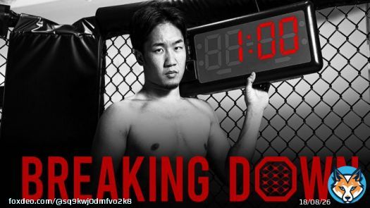 個人的に提案があるのですが、奥さんに本格的にキックボクシングや空手等の格闘技を身に付けさせて朝倉兄弟が主催するブレイキングダウン女子部門に参戦させて見てはいかがでしょうか？ブレイキングダウンの場合は一般の女性でも参戦出来る大会なので是非検討して見て下さい