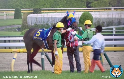 【戦列復帰】紫苑Sでは、サウンドビバーチェ(父ドゥラメンテ)が復帰初戦を迎えます。オークスでは発走地点で他馬に蹴られ「顔部挫創」で放馬。競走除外となってしまいましたが、今回は「仕切り直し」の一戦。今後の活躍を願いたいものです。#サウンドビバーチェ　#紫苑ステークス
