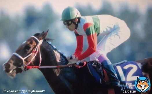 #ファインモーション　第27回エリザベス女王杯では秋華賞に続くG1連勝。デビューから無敗の6連勝で制覇。3歳馬が無敗で古馬混合G1を勝利したのはJRA史上初のこと。この偉業は、ちょうど20年前に達成されました。