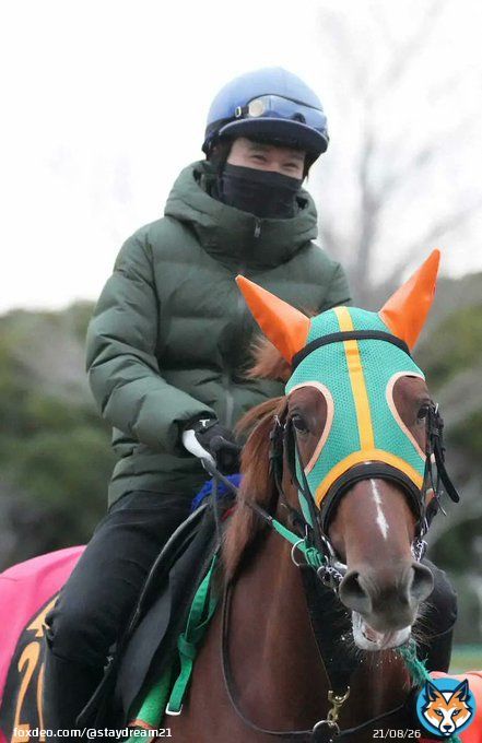 【チャンピオンズC】石川裕紀人騎手はダートで連勝中のジュンライトボルトに騎乗。石川騎手はデビュー9年目の27歳。今年は丸田恭介、横山和生、荻野極、坂井瑠星騎手がG1初勝利を飾り、本人も気合が入っているそうです。人馬共にG1初制覇を目指します。#チャンピオンズカップ