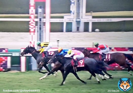 フィリーズレビューはシングザットソングが人気に応えて快勝。2着にムーンプローブ。3着はジューンオレンジ。ドゥラメンテの産駒が「桜花賞トライアル」の舞台。重賞初挑戦で初タイトルを獲得しました。#フィリーズレビュー