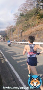 東洋大学 往路11位 特に前田主将の力走には感動した。 現地でみた柏くんも最後よく頑張って走ってくれた&hellip;！  東洋はまだ終わってないんだよ！！ シード権はもちろん、復路では1つでも上位へ！ #箱根駅伝  #その1秒をけずりだせ