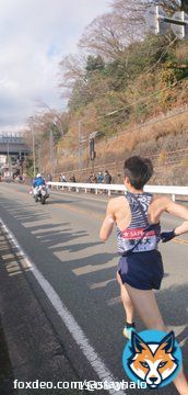 東洋大学 往路11位 特に前田主将の力走には感動した。 現地でみた柏くんも最後よく頑張って走ってくれた&hellip;！  東洋はまだ終わってないんだよ！！ シード権はもちろん、復路では1つでも上位へ！ #箱根駅伝  #その1秒をけずりだせ