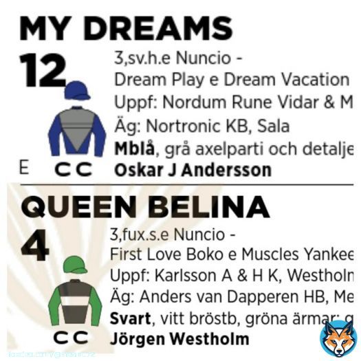 Solvalla imorgon!  Dags f&ouml;r Oaks och Kriteriet H&aring;ller mina tummar extra h&aring;rt f&ouml;r dessa tv&aring; ekipage   Nuncio