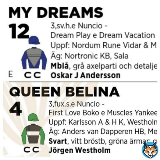 Solvalla imorgon!  Dags f&ouml;r Oaks och Kriteriet H&aring;ller mina tummar extra h&aring;rt f&ouml;r dessa tv&aring; ekipage   Nuncio