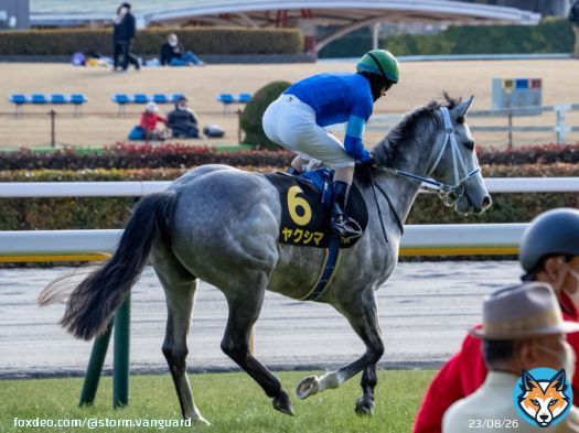 《東京第10レース》 #クロッカスステークス #ヤクシマ #クリストフ・ルメール #東京競馬場