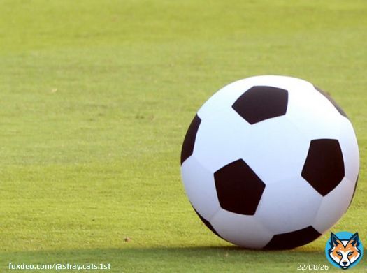 > 昨年のサッカーのFIFAワールドカップ（W杯）カタール大会全64試合を無料生中継したインターネットテレビ局...  11日からABEMAでプレミアに続きブンデスも放送　堂安律や鎌田大地の試合を無料生中継（日刊スポーツ） - Yahoo!ニュース  #エンタメ　#ABEMA