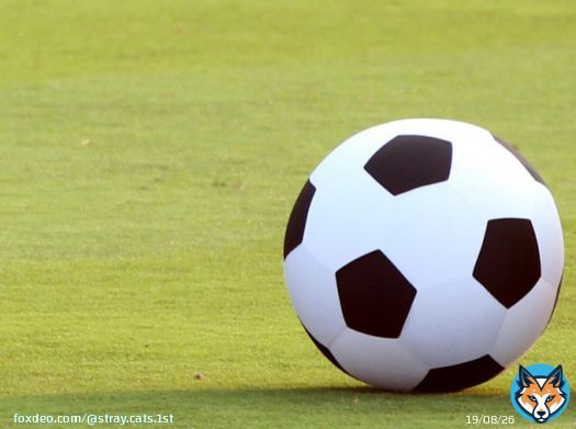 > 昨年のサッカーのFIFAワールドカップ(W杯)カタール大会全64試合を無料生中継したインターネットテレビ局... 11日からABEMAでプレミアに続きブンデスも放送 堂安律や鎌田大地の試合を無料生中継(日刊スポーツ) - Yahoo!ニュース #エンタメ #ABEMA