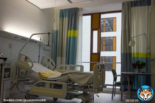 Вместо докторов Коммунарки Романа Костомарова стали лечить врачи из Германии  #спорт #здоровье #фигуристы #РоманКостомаров #лечение #Россия #Германия