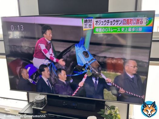 オジュウがNHKに！ #オジュウチョウサン