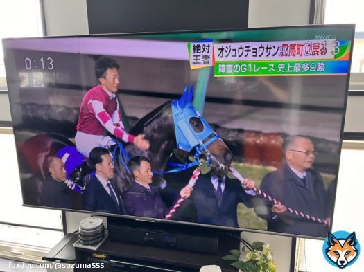オジュウがNHKに！ #オジュウチョウサン