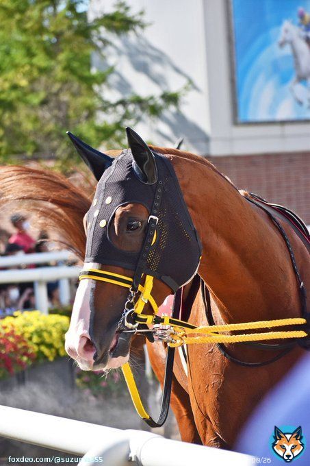 本当におめでとう G1馬 #ジャックドール