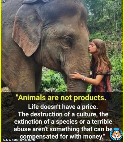 Pashuo ke Nath Pashupatinath  Name is enough  No animals abuse Be kind to animals  More you love these voiceless and take care of them, more you will get his blessings  The Almighty God Pashupatinath  Sawan the month of Pashupatinath  Be kind to animals