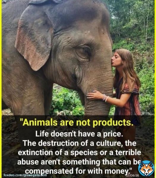 Pashuo ke Nath Pashupatinath  Name is enough  No animals abuse Be kind to animals  More you love these voiceless and take care of them, more you will get his blessings  The Almighty God Pashupatinath  Sawan the month of Pashupatinath  Be kind to animals