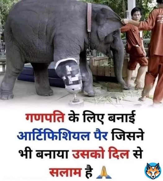 Love Animals  Har Har Mahadev  Good Evening