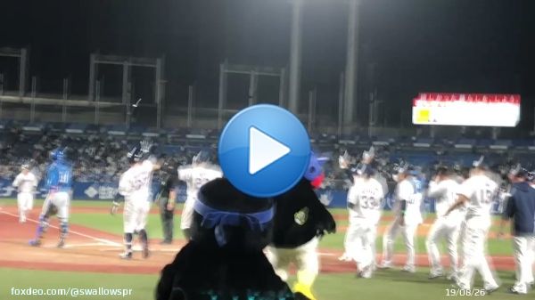 全員大興奮 \u2757\ufe0fすわほー \u203c\ufe0f #swallows #熱燕