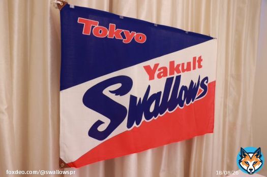【2022プロ野球ドラフト会議】  今年は6選手の交渉権を獲得しました。 #チームスワローズ として、共にプロ野球を盛り上げていきましょう  \u25bd交渉権獲得選手 詳細はこちら\u25bd   #swallows #ドラフト会議2022
