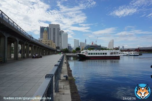 「正直者はバカを見た。その52の48」 <横浜の風景> 港の遊歩道！ 左側の橋脚は山下臨港線プロムナードで これも遊歩道。  どうも台風12号が発生しそうだ。 11号の軌跡を追って行くと助かるのだが 偏西風が南下しないことを願うばかりだ。  #横浜 #カコソラ