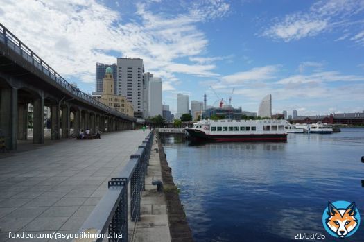 「正直者はバカを見た。その52の48」 <横浜の風景> 港の遊歩道! 左側の橋脚は山下臨港線プロムナードで これも遊歩道。 どうも台風12号が発生しそうだ。 11号の軌跡を追って行くと助かるのだが 偏西風が南下しないことを願うばかりだ。 #横浜 #カコソラ