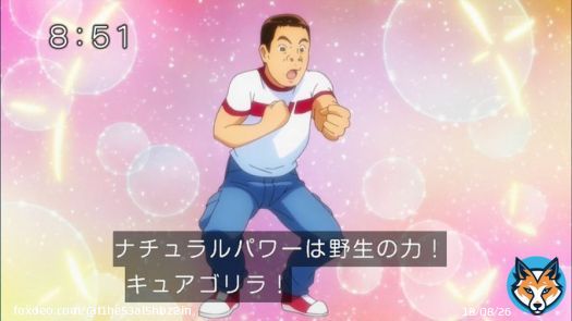 男子プリキュアと成人プリキュアの二つの要素を併せ持つキュアゴリラとかいう伝説の戦士