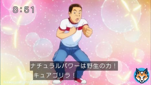 男子プリキュアと成人プリキュアの二つの要素を併せ持つキュアゴリラとかいう伝説の戦士