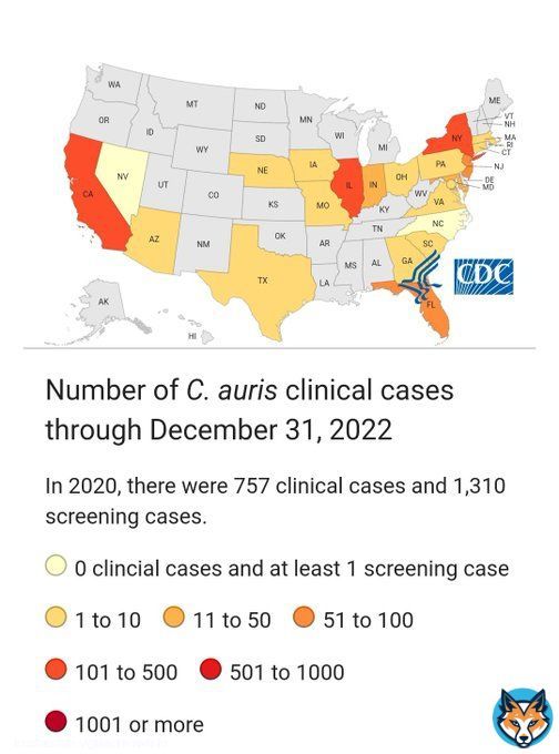 Fungal infections with Candida auris increased from 756 in 2020 to 1,471 in 2021. Preliminary&nbsp;figures&nbsp;count at least another 2,377 cases for 2022. 30 states & the District of Columbia have now reported Candida auris patients.  COVID Immune suppression