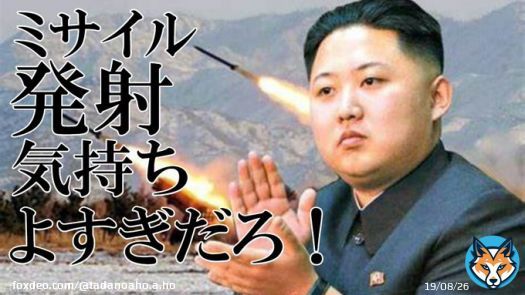 #弾道ミサイル  #北朝鮮ミサイル