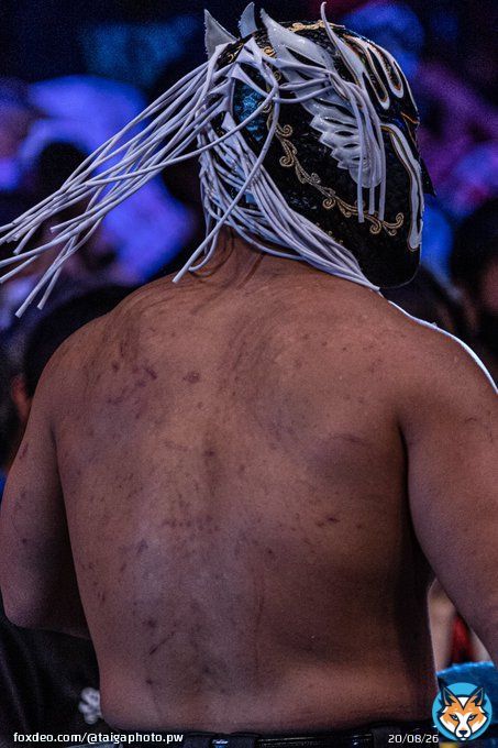 2022 10.10 新日本プロレス 両国国技館 エル デスペラード 選手 背中に残る死闘の傷跡 #njpw #njpower