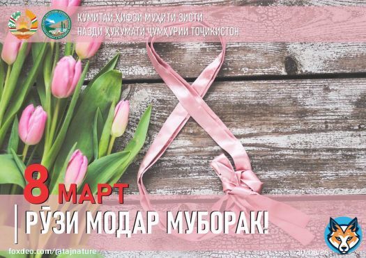Mother&rsquo;s Day celebration in the Committee for Env Protection      #Tajikistan #Dushanbe #8march #РузиМодар #ДеньМатери #8марта