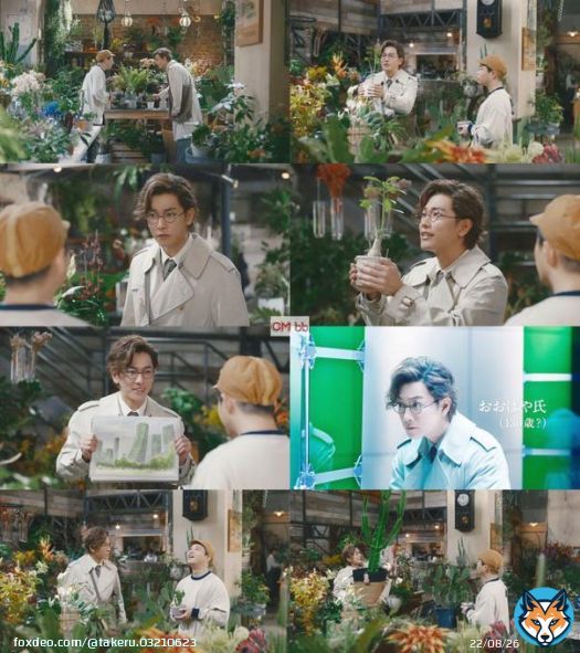 #佐藤健 #佐藤の日 #サボテンの日 #大林組
