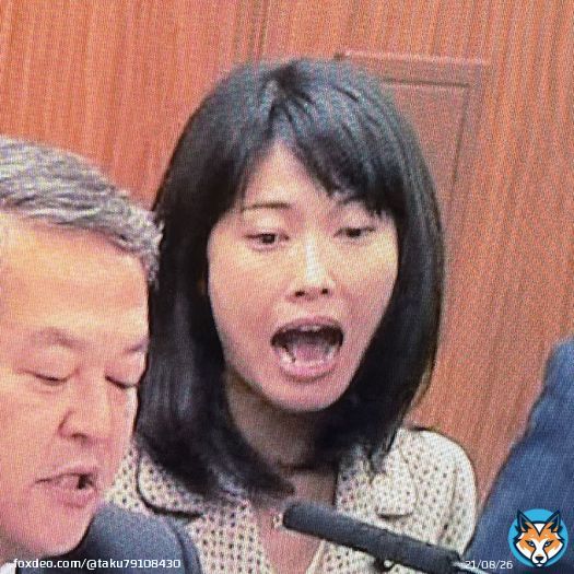 #サンデーモーニング #自民党は愚か者集団  　　　　　　　愚か者