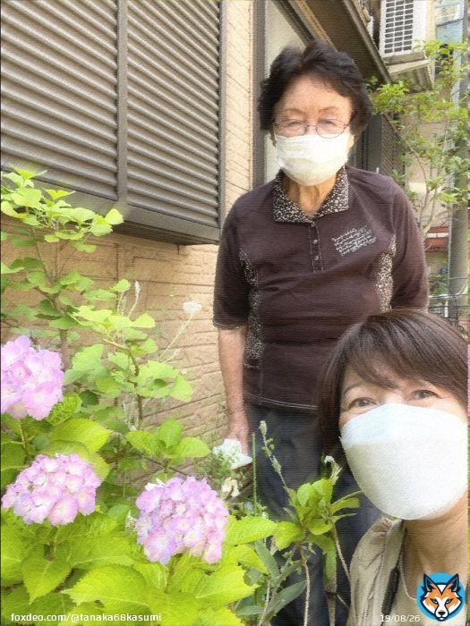 「 #竹谷とし子 さんは #食品ロス と #税金のムダ削減 をやってくれる実績の人。近所にも竹谷さんの話、してるのよー」と。いつもハツラツ。大事にお手入れされている紫陽花と記念撮影 \ud83d\udcf8お困りごとをつないでくださる、地域になくてはならない方だ。
