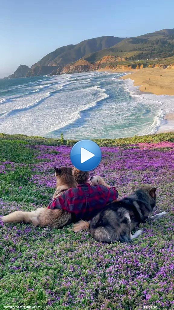 &ldquo;Не делайте запасов из&nbsp;любви&nbsp;и&nbsp;доброты. И&nbsp;про черный&nbsp;день&nbsp;грядущий не&nbsp;копите&nbsp;милосердие&rdquo;.. Булат Окуджава  Сегодня всемирный день доброты!!!