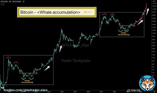 #Bitcoin whale behaves very similar to the one in 2015. The price action indicates $BTC is possibly at the beginning of a Bull Run.  #BTC #Crypto