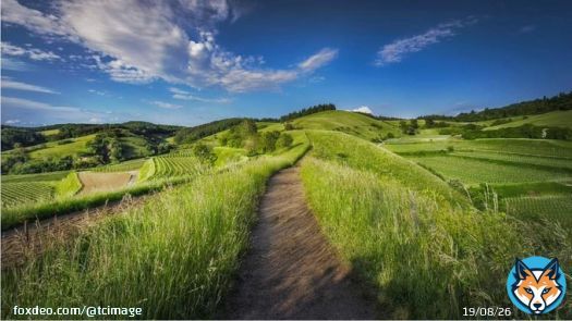 Today's featured photo is from the @thecompellingimage community.  . #photography #photography #photographylover #photographyislife #photographylovers #photographyeveryday #photographychallenge #wideangle #wideanglephotography #wideanglephoto #thecommpellingimage