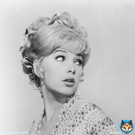 Our thoughts are with the family and friends of actress, director and activist Stella Stevens. More than just a blonde bombshell, the effervescent star held her own in a variety of roles on the big and small screen.  @Variety remembers her here: