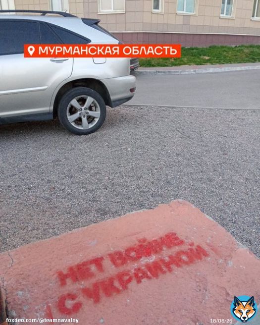 Граффити и листовки от волонтёров Штабов Навального &mdash; Красноярский край, Владимирская область, Ростовская область, Еврейская автономная область, Амурская область, Тверская область, Мурманская область, Москва, Республика Башкортостан, Ростовскаяобласть.  Регистрируйтесь на&hellip;&nbsp;Show more