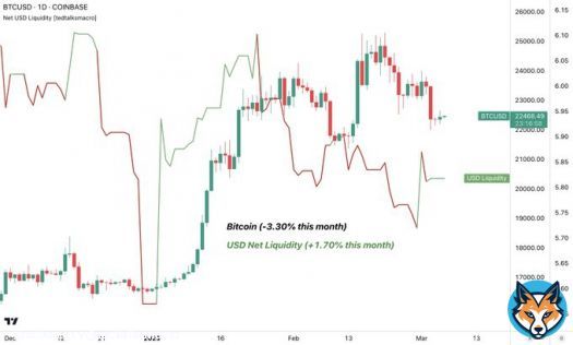 US dollar liquidity is on the rise so far in March (~+100bn inflows)  Liquidity leads, price lags! #Bitcoin