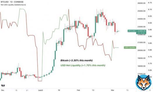 US dollar liquidity is on the rise so far in March (~+100bn inflows)  Liquidity leads, price lags! #Bitcoin