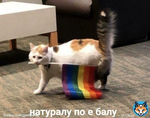 Евровидение 2022:  #Eurovision   (Хоть где то моя ава актуальна)