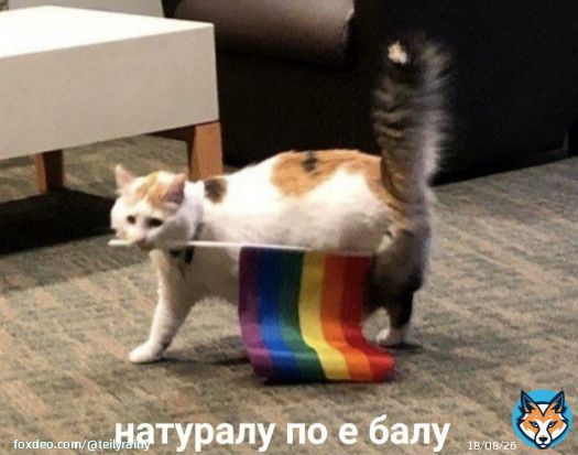 Евровидение 2022:  #Eurovision   (Хоть где то моя ава актуальна)