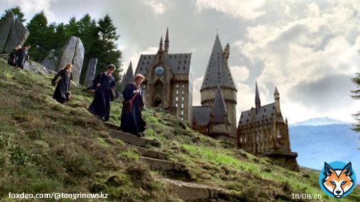 Компания Warner Bros. приступила к разработке фильма 'Гарри Поттер и проклятое дитя'