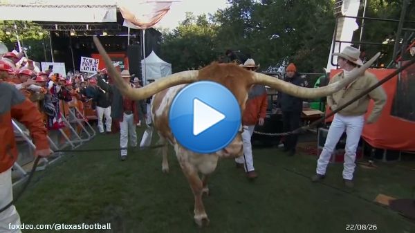 Bevo's fired up and ready to go   : @espn