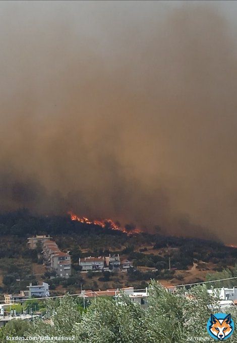 #&Chi;&alpha;&sigma;&iota;ά #&Phi;&upsilon;&lambda;ή #&Pi;ά&rho;&nu;&eta;&theta;&alpha; #&mu;&omicron;&nu;ή_&Kappa;&lambda;&epsilon;&iota;&sigma;&tau;ώ&nu; #&mu;&omicron;&nu;ή_&Kappa;&upsilon;&pi;&rho;&iota;&alpha;&nu;&omicron;ύ #&Tau;&alpha;&mu;&iota;&lambda;&theta;ί #&alpha;&nu;&alpha;&rho;&rho;&iota;&chi;&eta;&tau;&iota;&kappa;ό_&pi;&epsilon;&delta;ί&omicron;