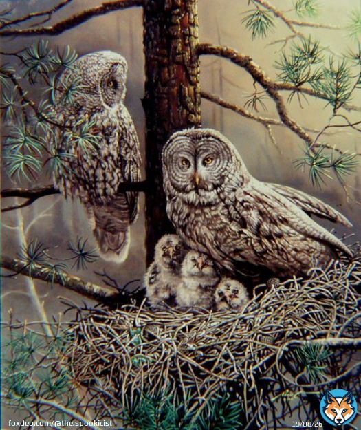 Great grey family painting.