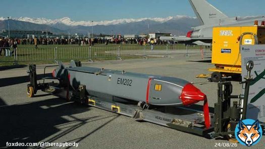 Великобритания готова поставить Киеву  крылатые ракеты Storm Shadow.  Польша уже модифицирует украинские Су-24  под эти ракеты.  Ракета имеет боеголовку массой 450 кг,   дальность -  250 и 560 км